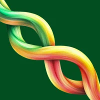 Relationship Anxiety Attached